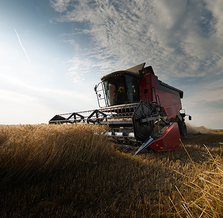 agricultural-wright-vigar